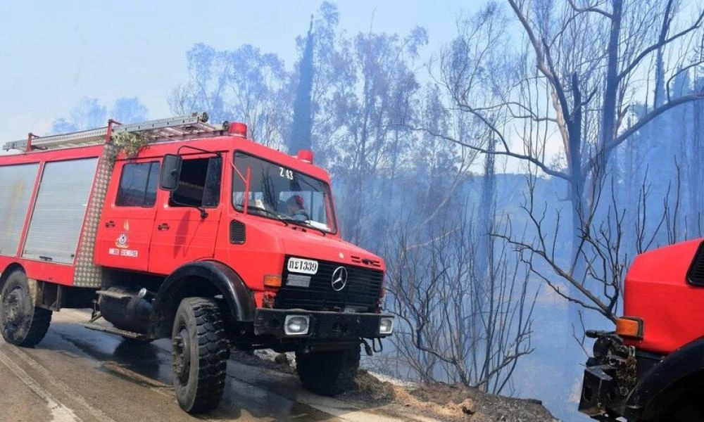 Φωτιά σε δασική έκταση στην Αρσινόη Μεσσηνίας